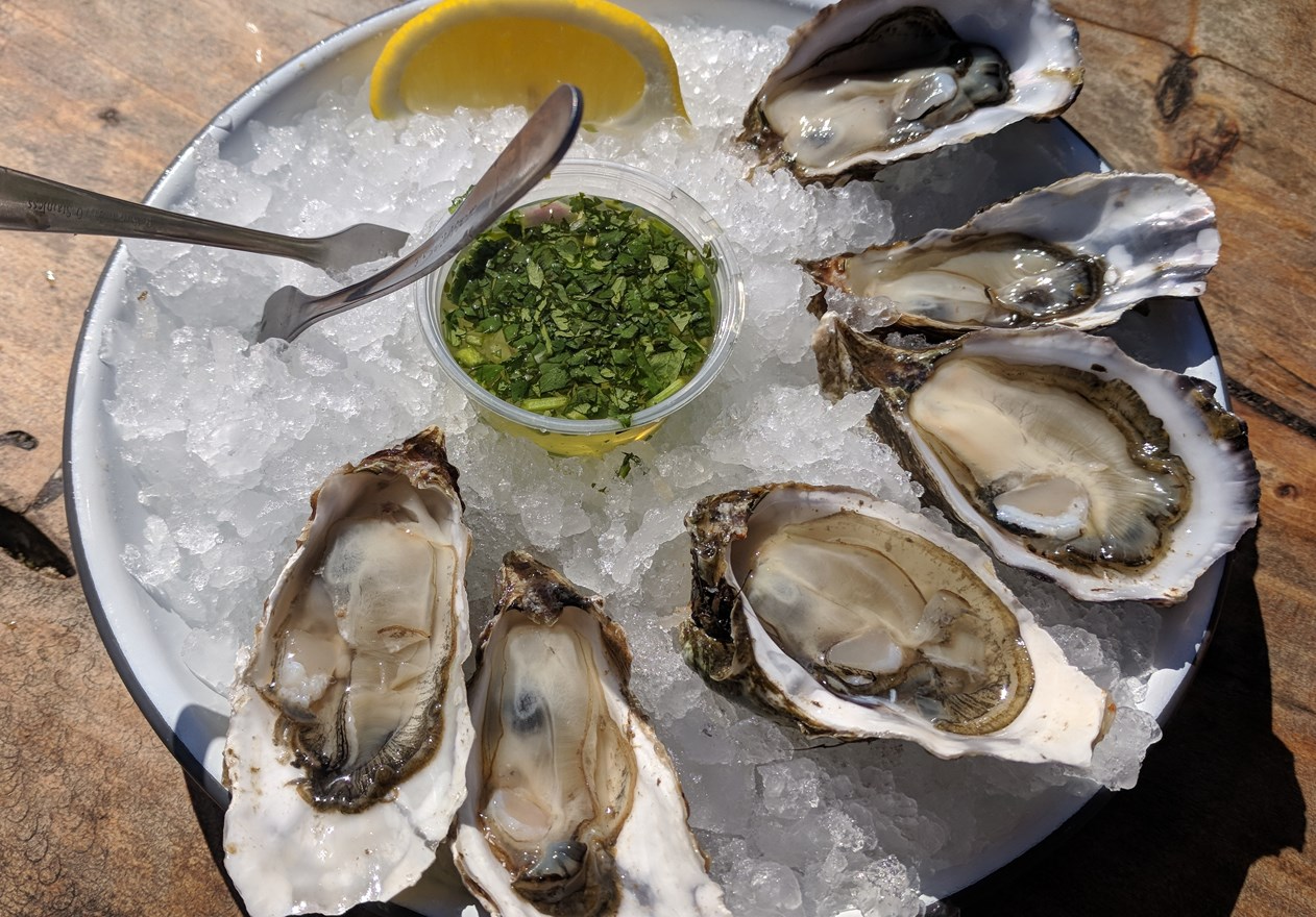 15" Perlick Signature Series Cubelet Ice Maker with Right Hinge Stainless Steel Door - HP15CU1R